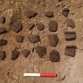 Sherds of Early Neolithic Carinated Bowl (scale = 10cm).