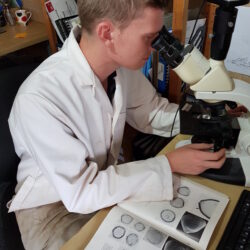 Luke, our Palaeoenvironmentalist, analysing pollen samples using a microscope. © Copyright ARS Ltd