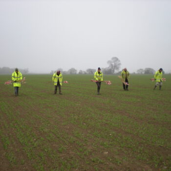 Fieldwalking involves a line of people walking steadily across a field, observing the ground as they go and marking any finds with canes, the location of which are then surveyed before the finds are collected. © Copyright ARS Ltd.