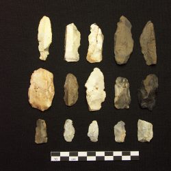 Edge trimmed blades made from a combination of flint and local chert (scale = 10cm). © Copyright ARS Ltd