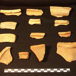 Rim sherds from Roman pottery vessels (scale = 10cm). © Copyright ARS Ltd