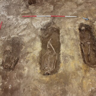 Three of the eleven skeletons which were discovered during the excavation.