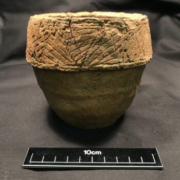 A Collared Urn recovered during the excavations which contained one of the cremation burials.