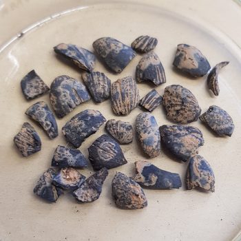Charred hazelnut shells © Copyright ARS Ltd 2021