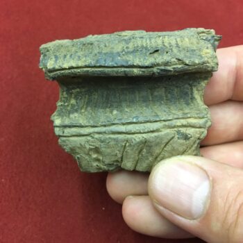 A sherd of Neolithic Peterborough Ware pottery from a Mortlake Bowl.