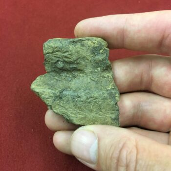 Rim sherd from a Peterborough Ware vessel recovered from the site.