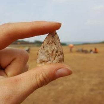 Neolithic leaf-shaped arrowhead. © Copyright ARS Ltd 2020
