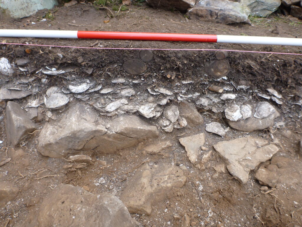 Excavations at Hir Ynys © Copyright ARS Ltd 2021
