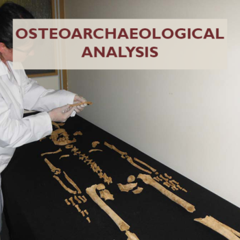 Osteoarchaeological Analysis © Copyright ARS Ltd 2022