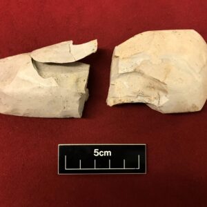 Fragments of the Neolithic flint axehead found in two separate pits © Copyright ARS Ltd 2023