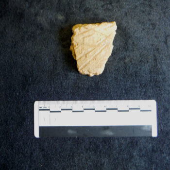 Grooved Ware fragment from St George's Hospital, Morpeth © Copyright ARS Ltd 2023
