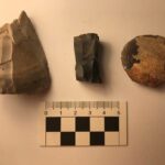 Flint tools come in all sorts of shapes and sizes - just take a look at these three from recent excavations in Derbyshire. Here we have (from left to right) two Mesolithic flint cores and a late Neolithic/ Early Bronze Age scraper. The cores would have been carefully hit using a soft hammer to detach blades and bladelets. The scraper would have been retouched to get a sharper edge so it could be used to scrape hides or maybe the bark from wood.