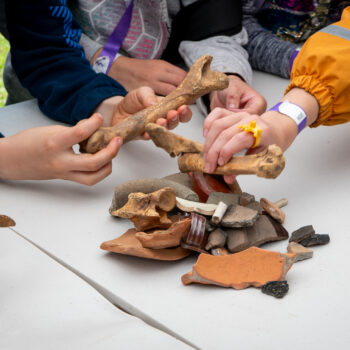 Finds handling in action at the Derbyshire Scout Archaeology team weekend © ARS Ltd 2023