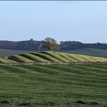 View of the historic ridge and furrow to the north of Tuthill Farm © ARS Ltd 2023