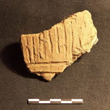 Body sherd with cremated human remains adhering to the inside -this sherd most likely dates to the Early Bronze Age © ARS Ltd 2024
