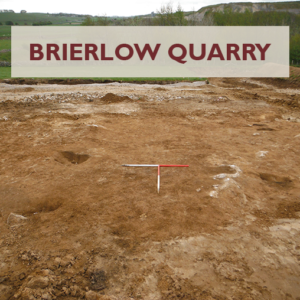 Brierlow Quarry - Project Page