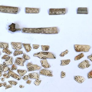Fragments of the bone comb discovery © Argyll Archaeology