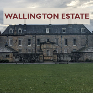 Wallington Estate - Project Page