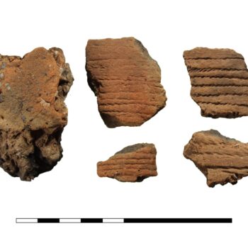 Pottery © ARS Ltd 2025