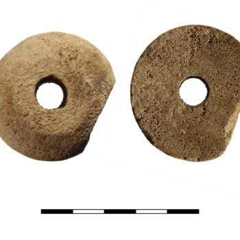 Spindle whorl © ARS Ltd 2025