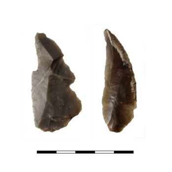 Cutting blades © ARS Ltd 2025