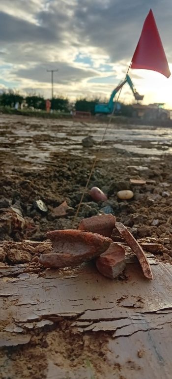 Roman ceramics coming up in the top of features in 2.1 © ARS Ltd 2025